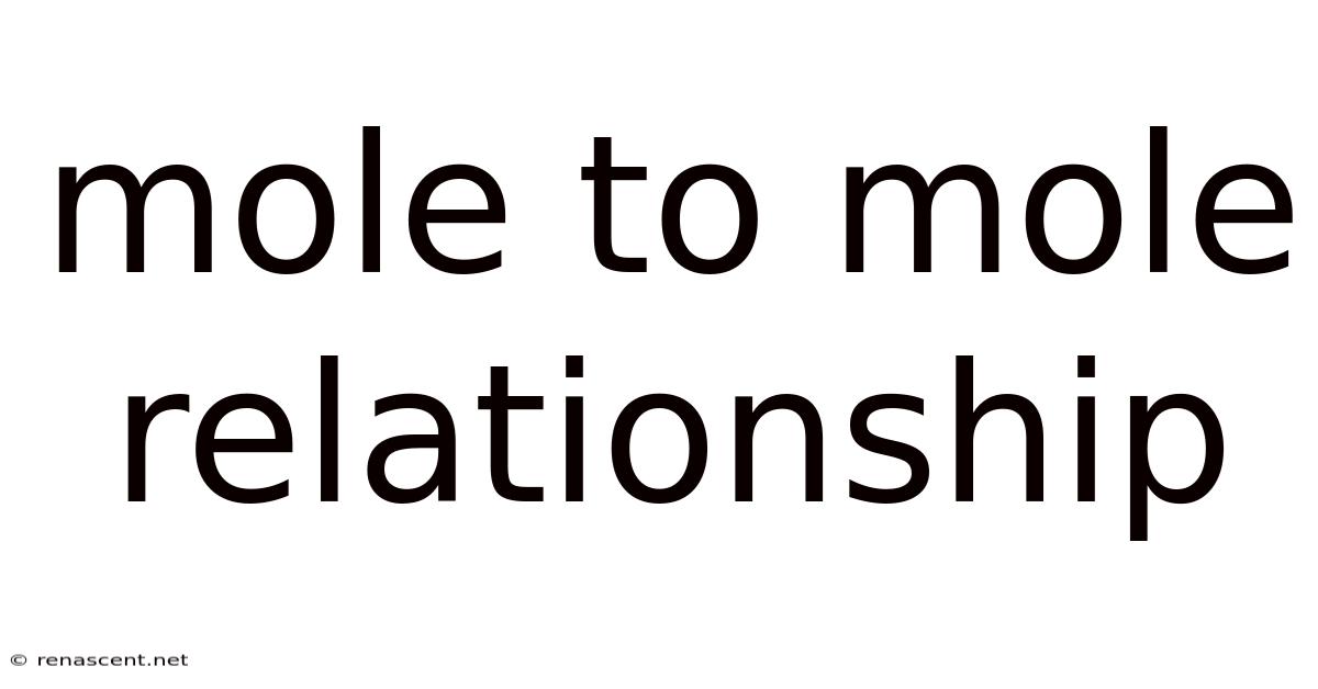 Mole To Mole Relationship