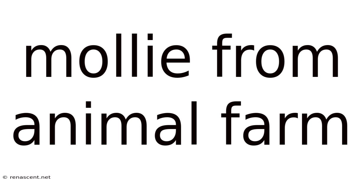 Mollie From Animal Farm