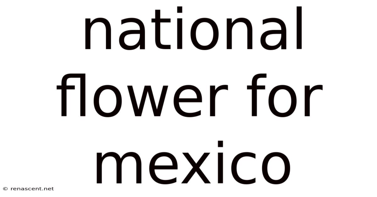 National Flower For Mexico