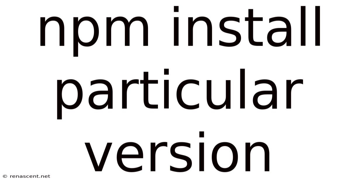 Npm Install Particular Version