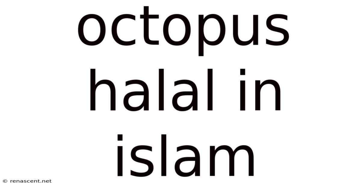 Octopus Halal In Islam