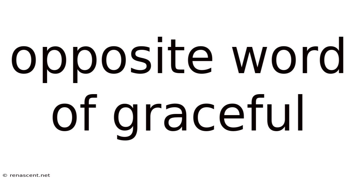 Opposite Word Of Graceful