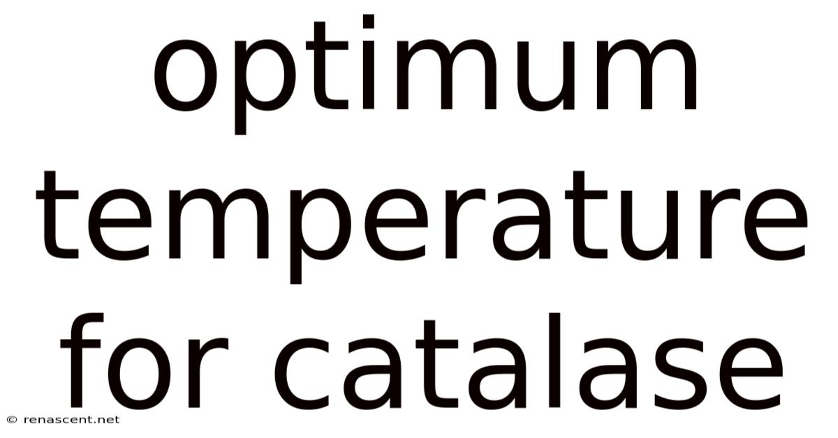 Optimum Temperature For Catalase