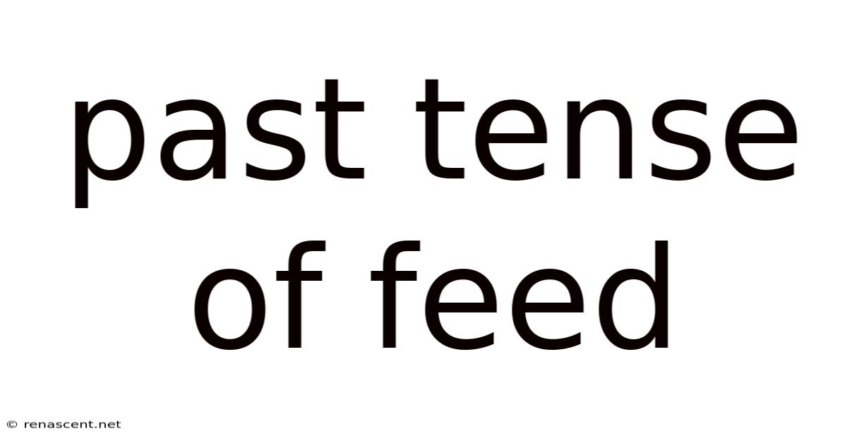 Past Tense Of Feed
