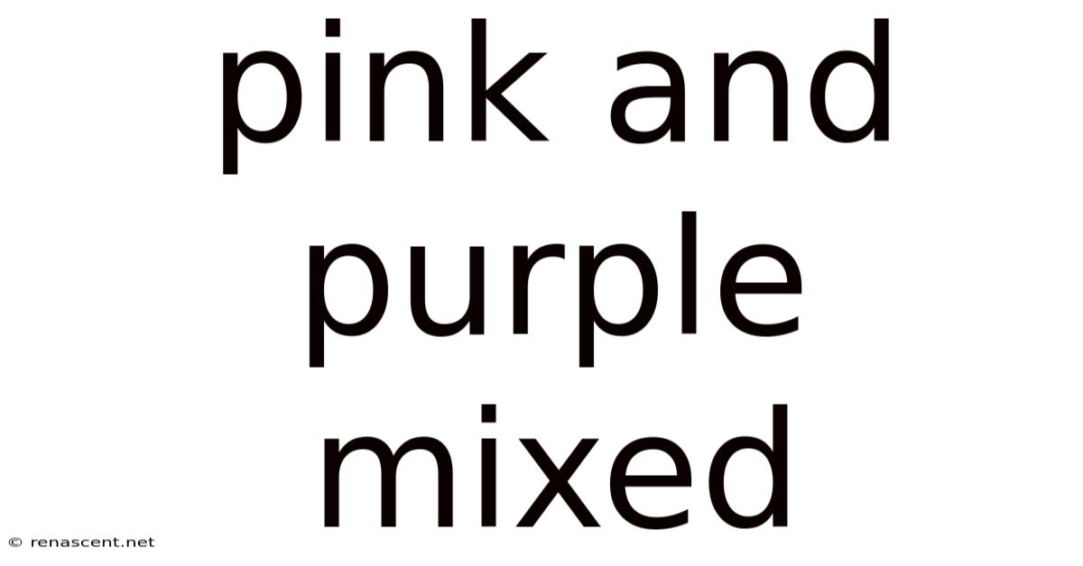 Pink And Purple Mixed