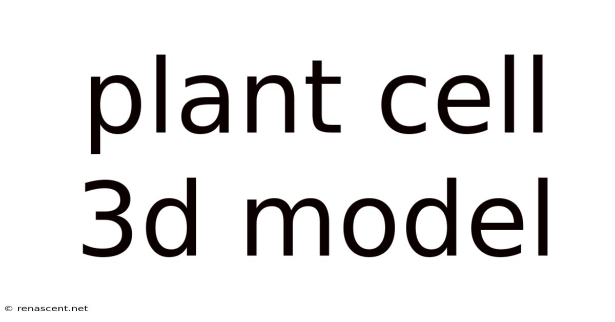 Plant Cell 3d Model