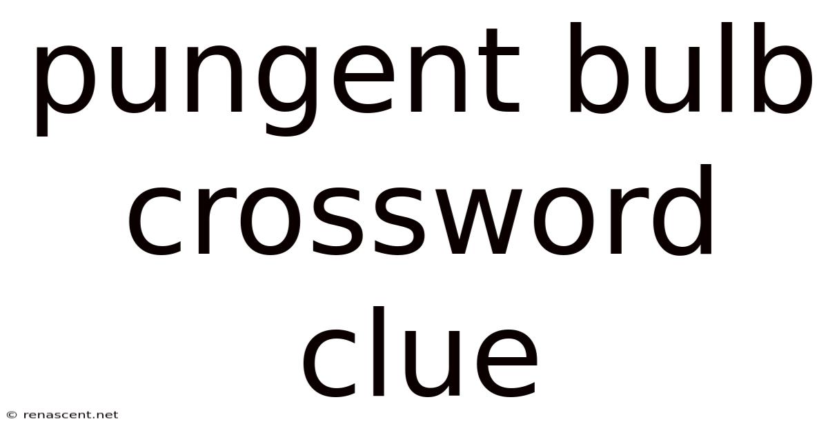 Pungent Bulb Crossword Clue