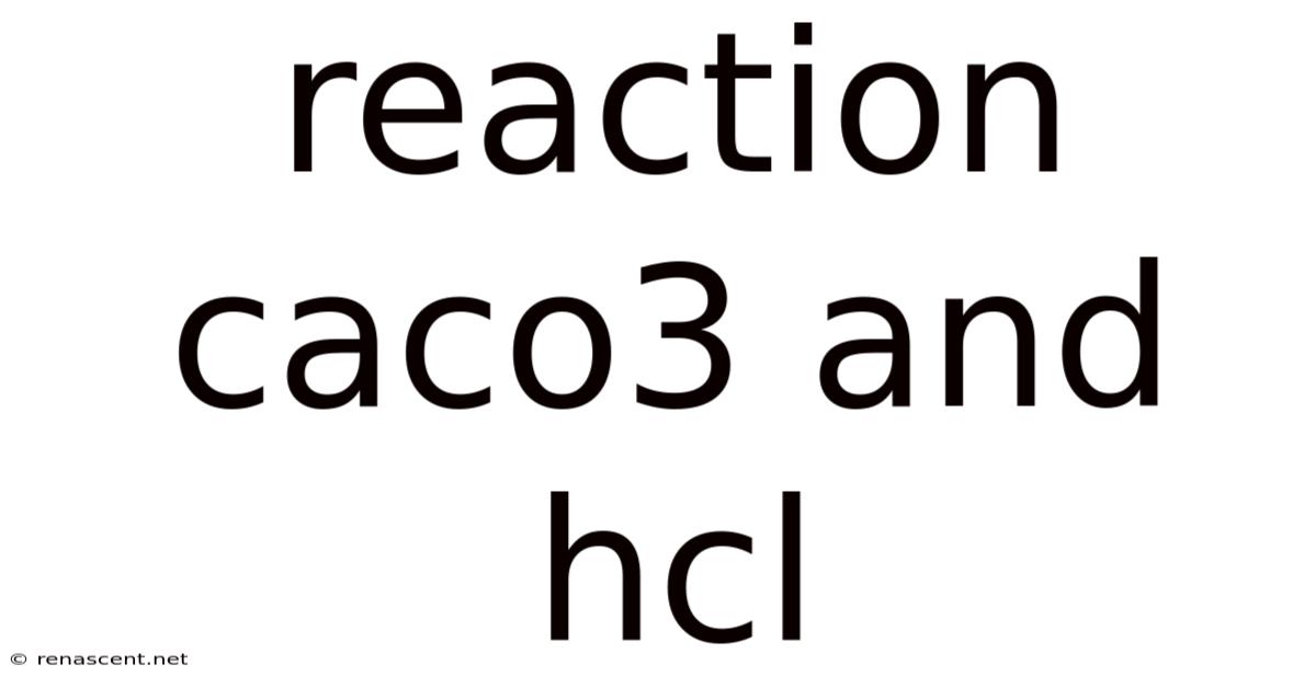 Reaction Caco3 And Hcl