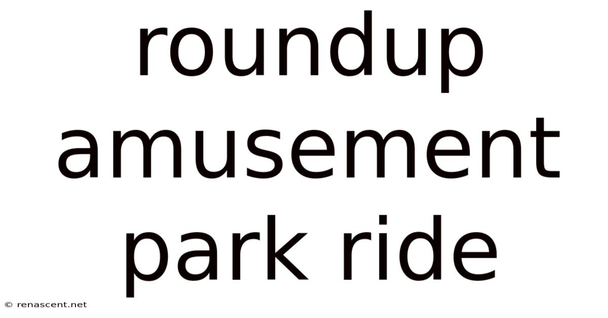 Roundup Amusement Park Ride