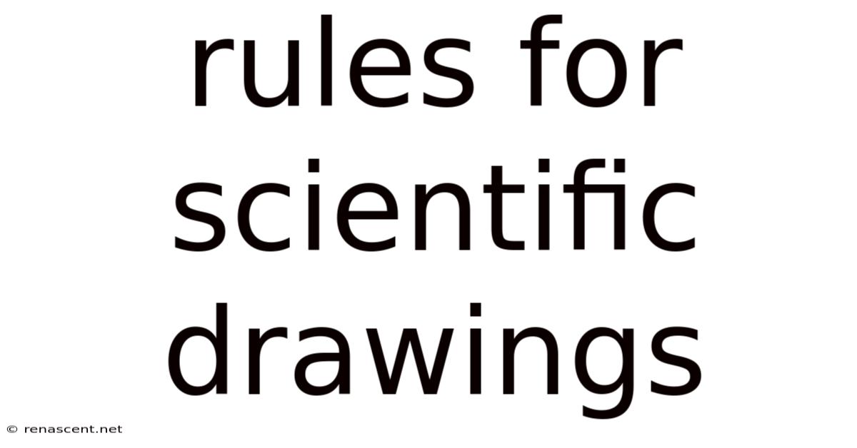 Rules For Scientific Drawings