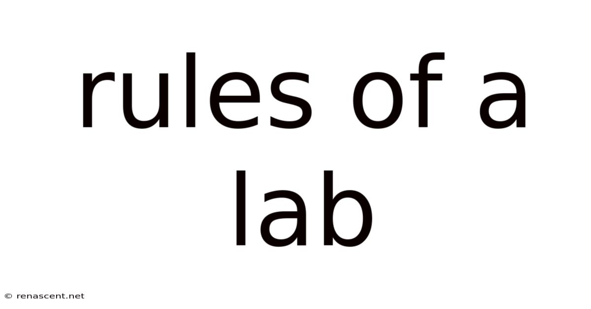 Rules Of A Lab