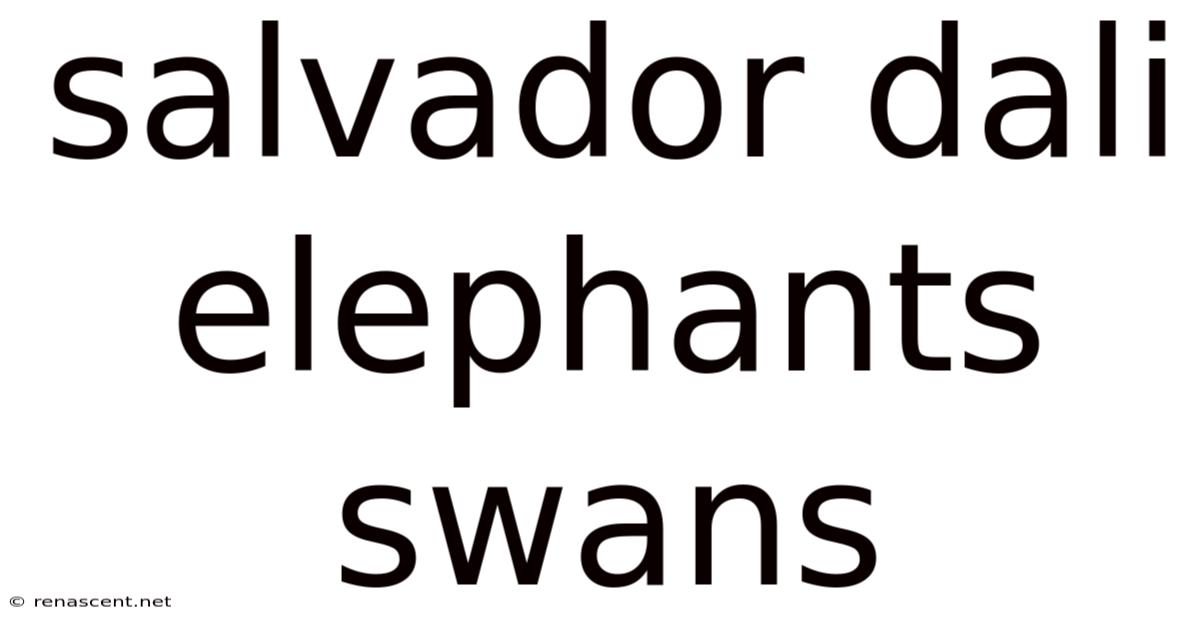 Salvador Dali Elephants Swans