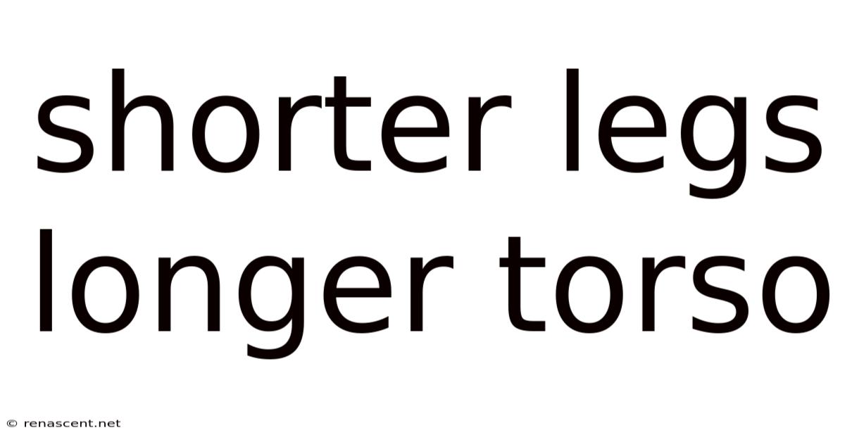 Shorter Legs Longer Torso
