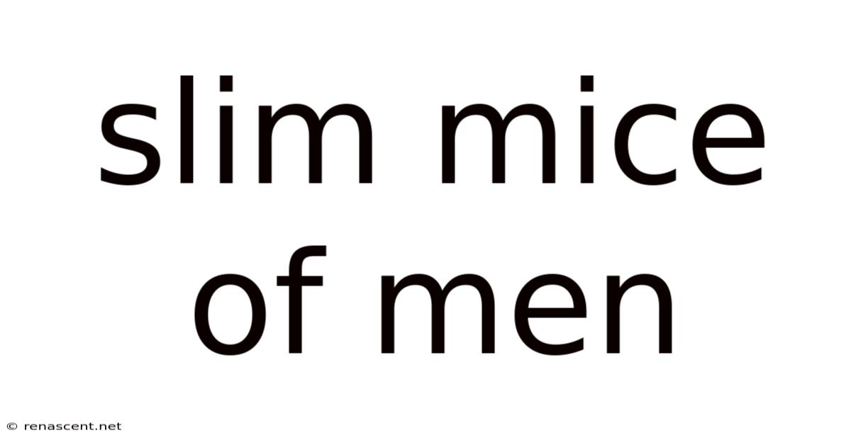 Slim Mice Of Men