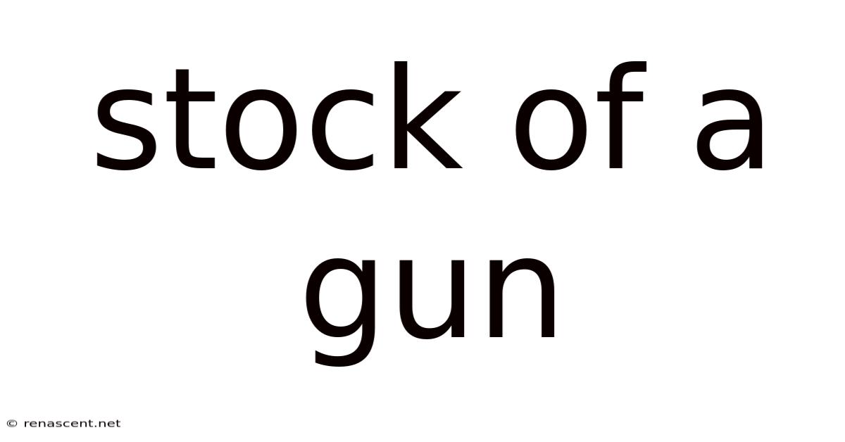 Stock Of A Gun
