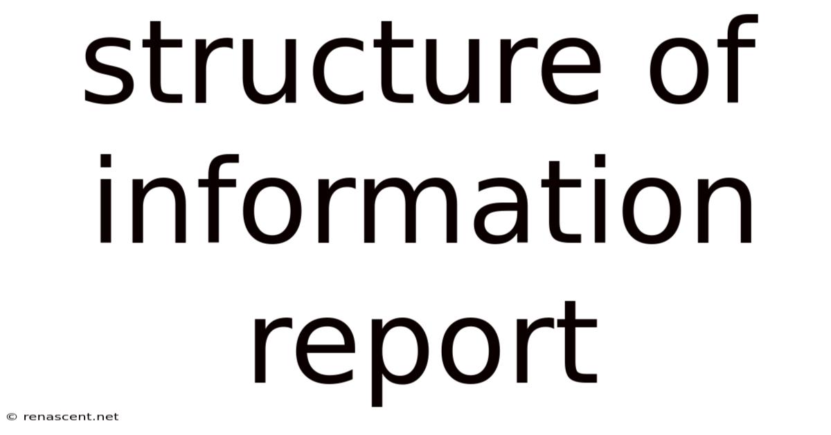 Structure Of Information Report