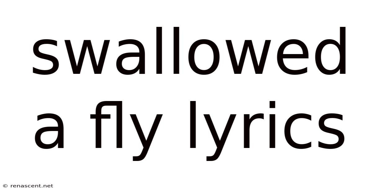 Swallowed A Fly Lyrics