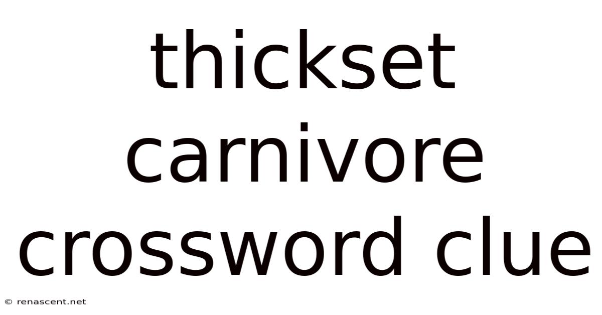 Thickset Carnivore Crossword Clue
