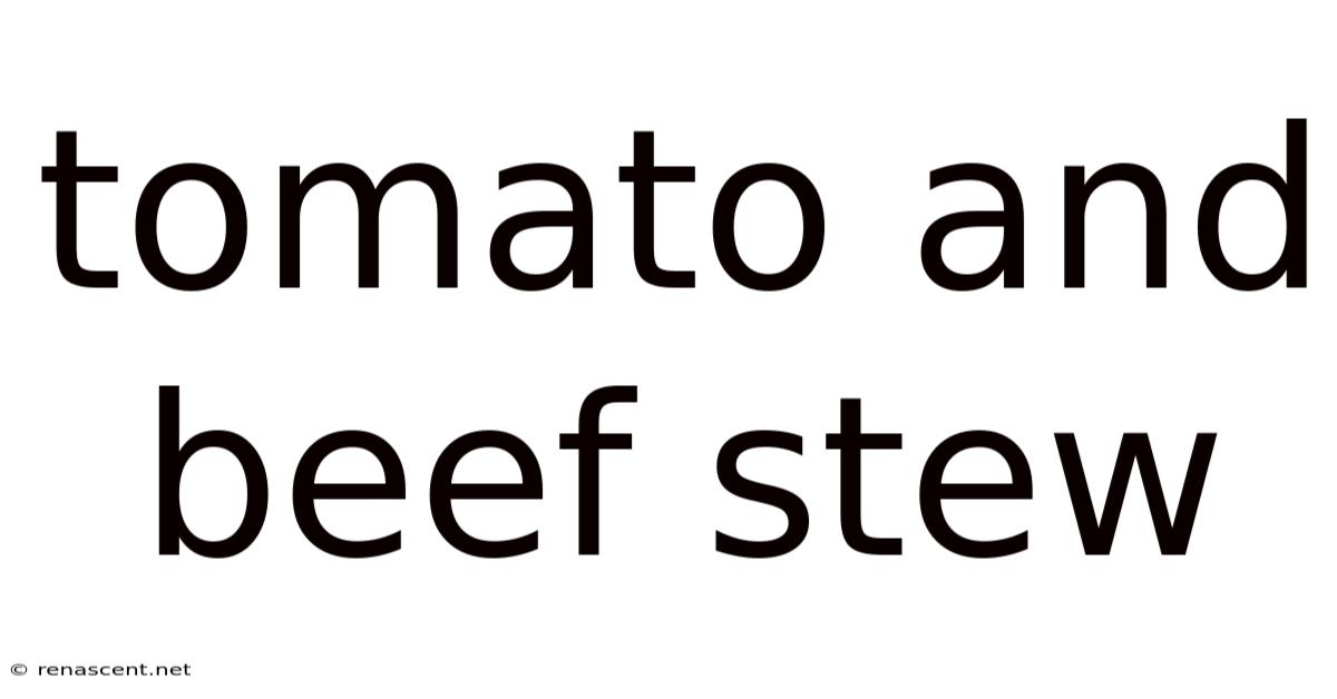 Tomato And Beef Stew