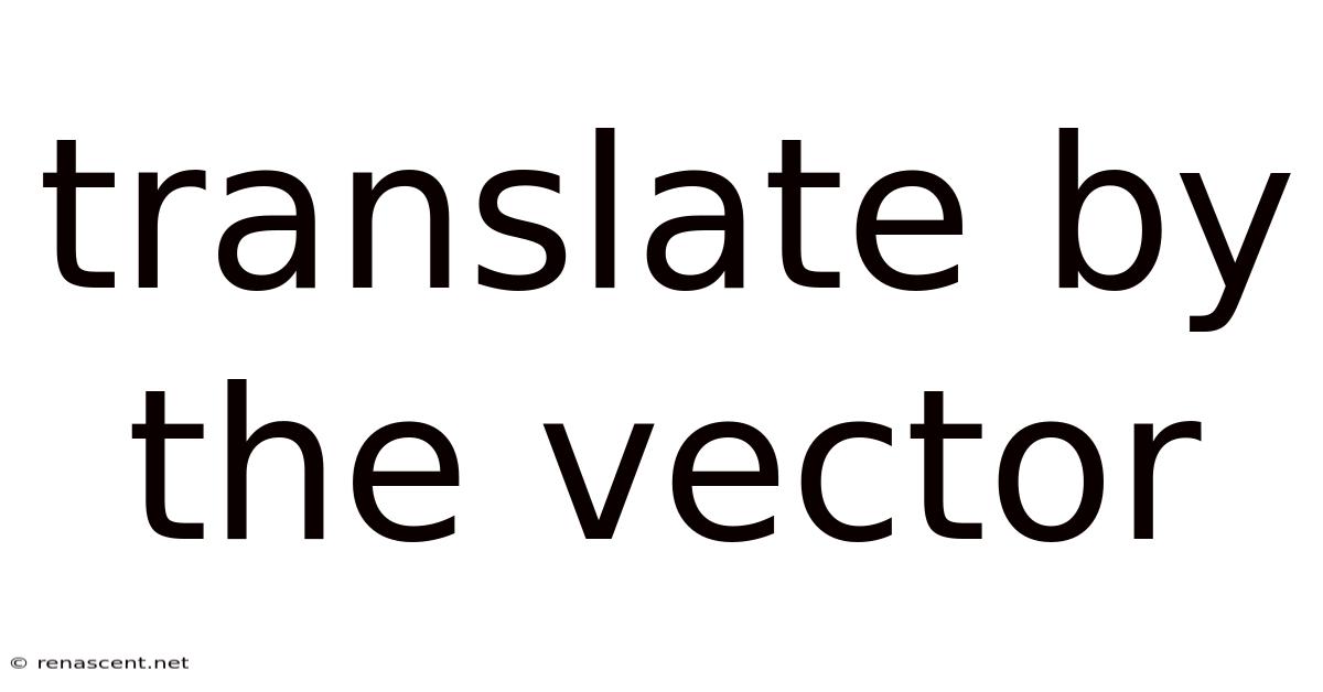 Translate By The Vector