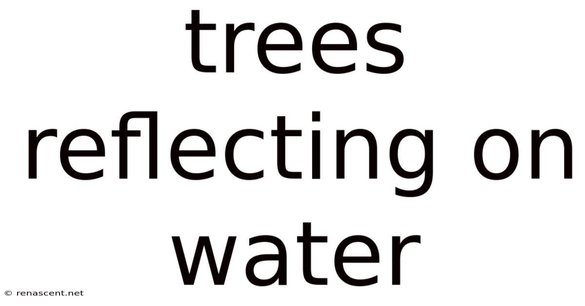 Trees Reflecting On Water