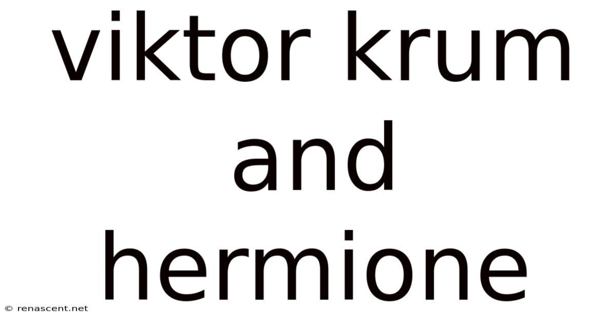 Viktor Krum And Hermione