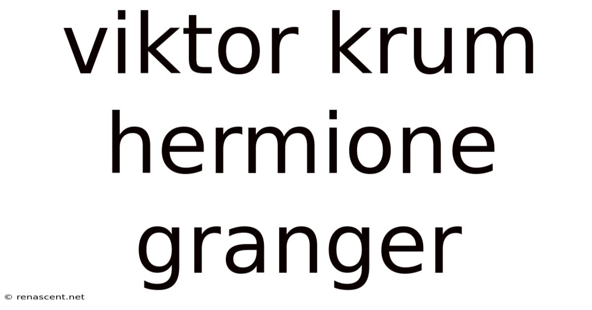 Viktor Krum Hermione Granger