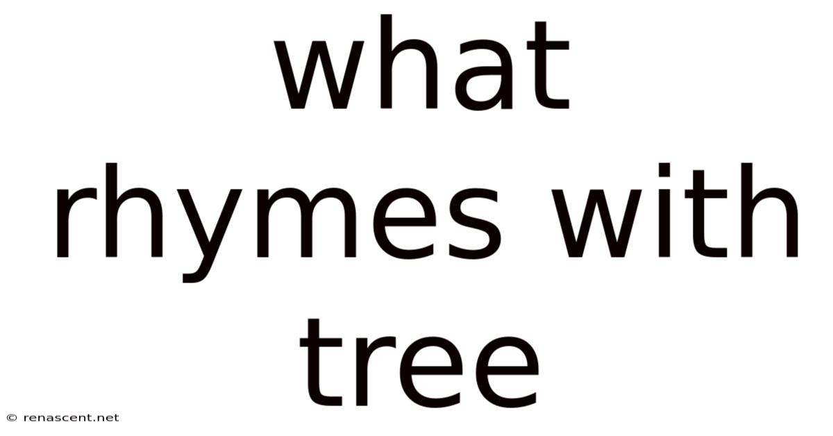 What Rhymes With Tree