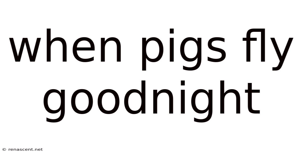 When Pigs Fly Goodnight