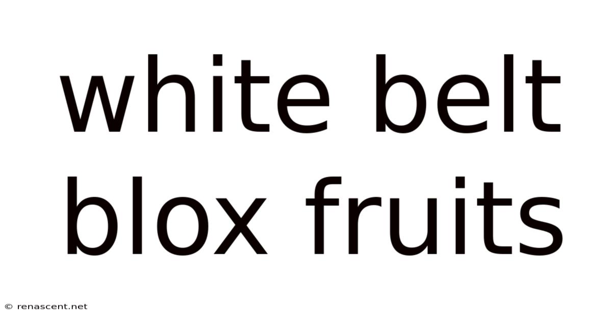 White Belt Blox Fruits