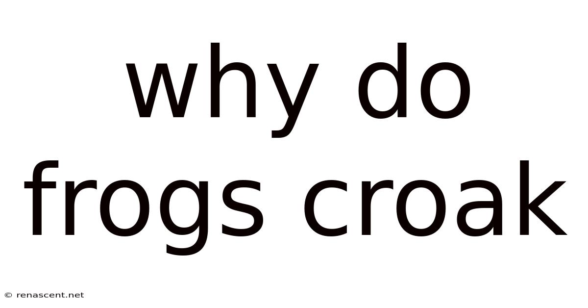 Why Do Frogs Croak