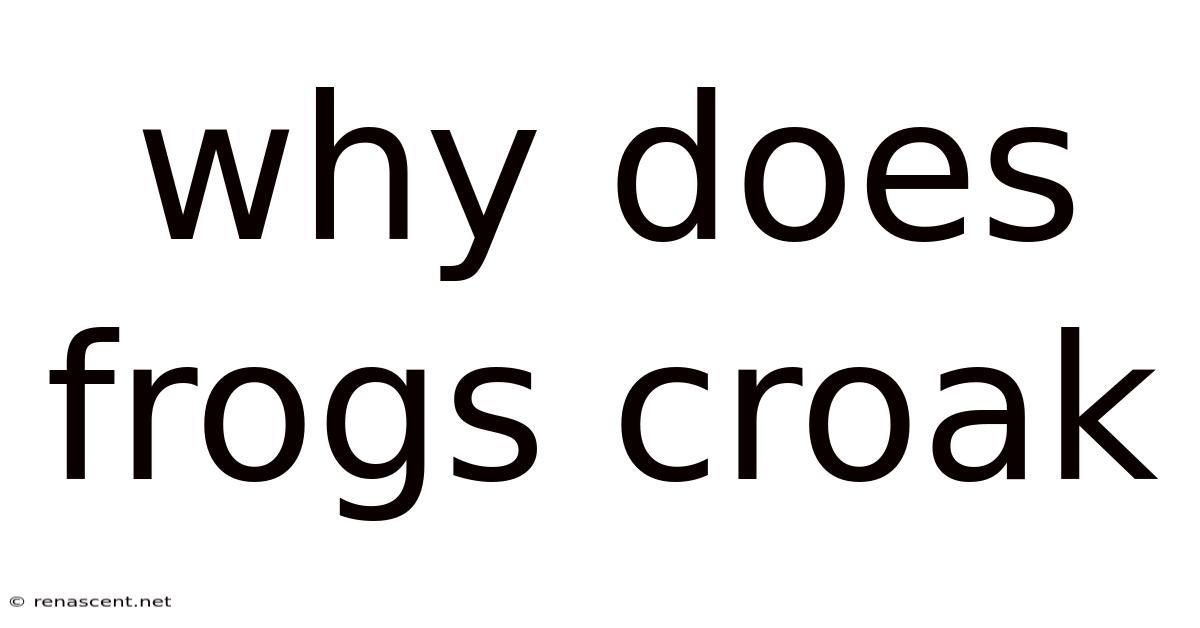 Why Does Frogs Croak