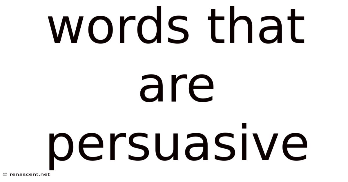 Words That Are Persuasive