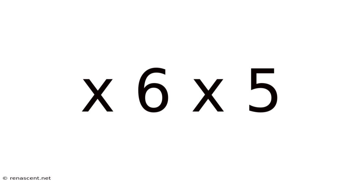 X 6 X 5