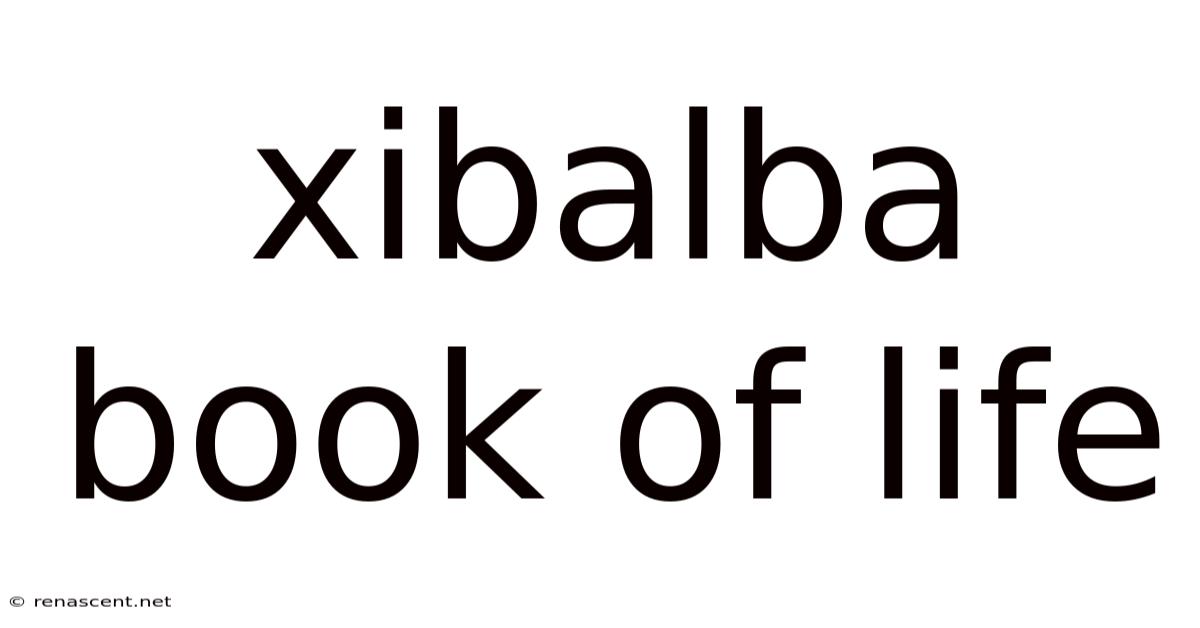 Xibalba Book Of Life