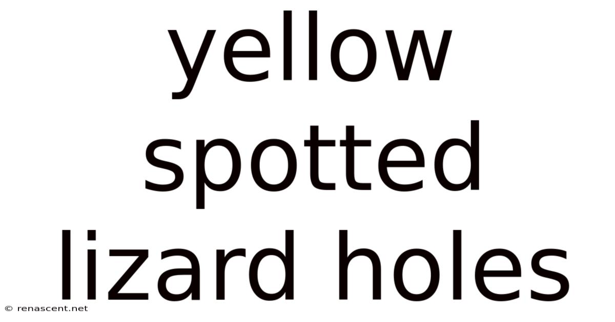 Yellow Spotted Lizard Holes